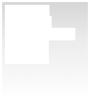 publications
model 45
annual report ’09
resources
pp minute